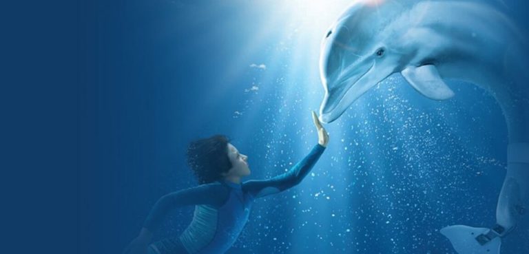 Kobieta dotyka pod wodą nos Delfina